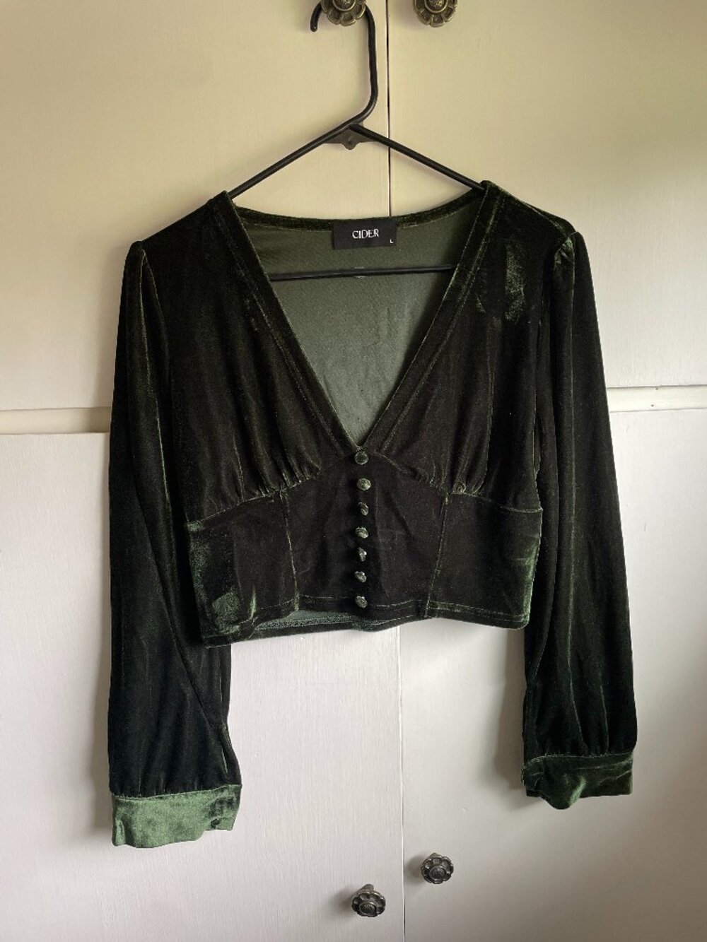Victorian Vintage Inspired Deep Green Faux Velvet Cider Top